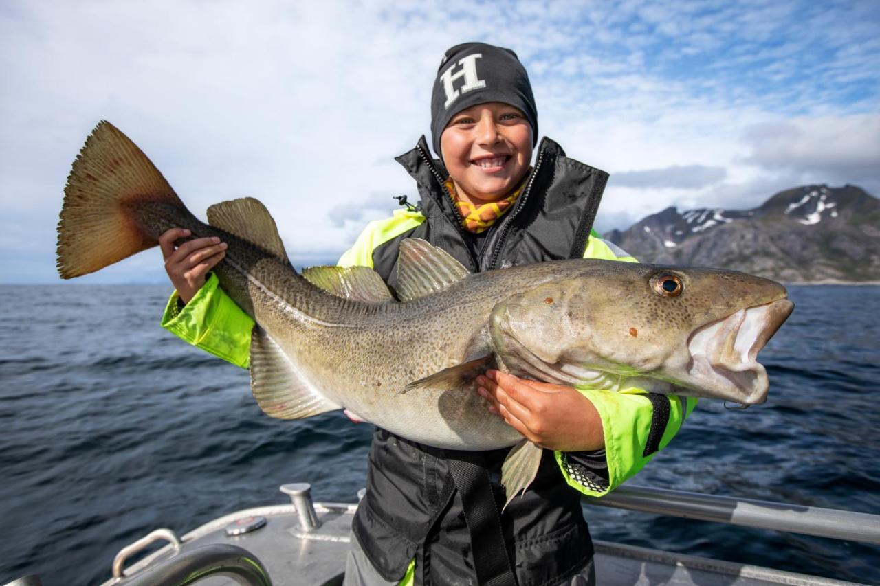 Lofoten Rorbu Lodge Offersoya Екстер'єр фото